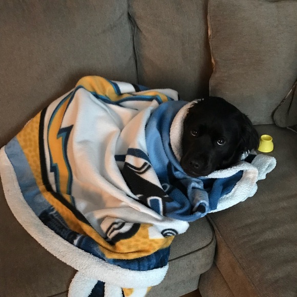 Meet your Posher, Amber - Picture 1 of 1